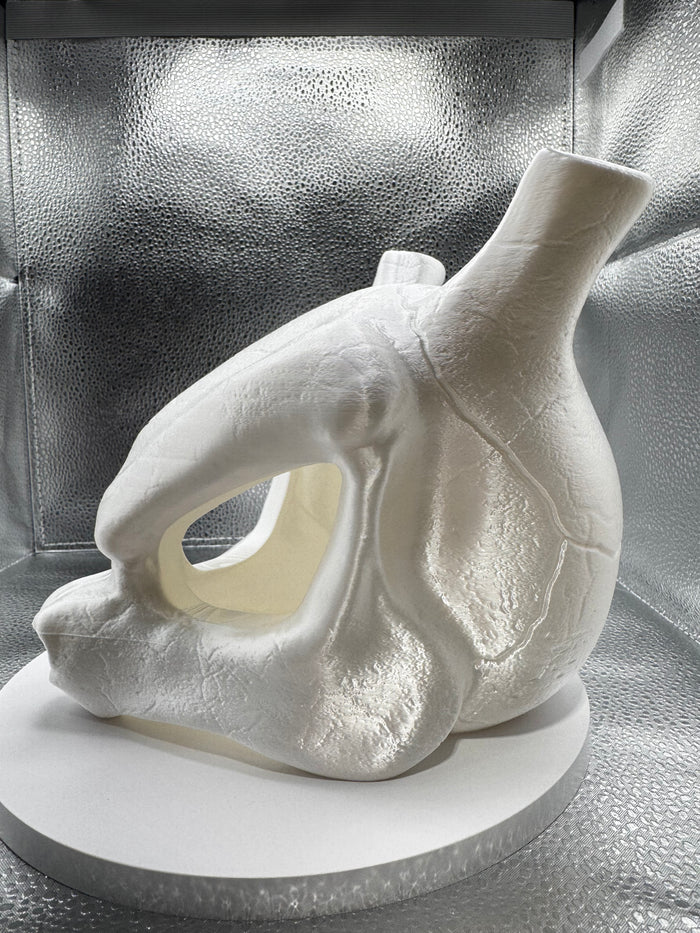 Mow2 Skull 3d Print