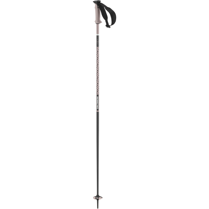 POLAR PRO SKI POLES